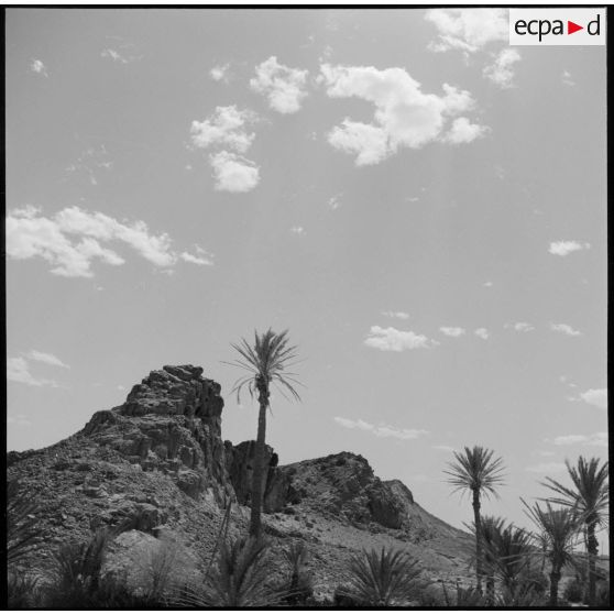 Paysage aux environs de Colomb Béchar.