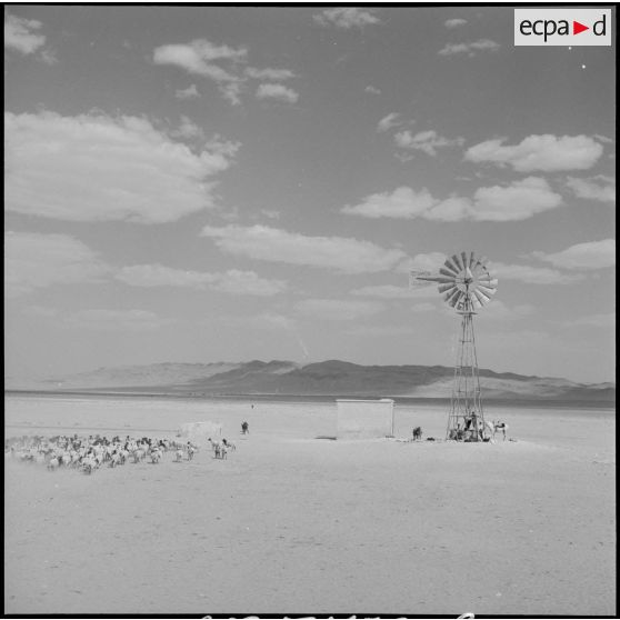 Des bergers nomades s'approvisionnant au puits.