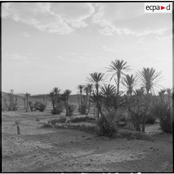 Paysage aux environs de Colomb Béchar.