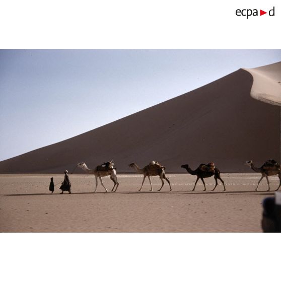 Dune et caravane dans l’erg Admer. [légende d'origine]