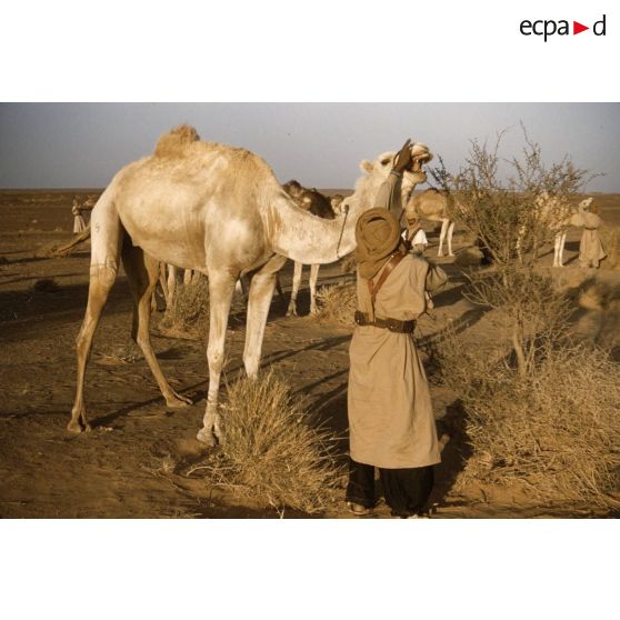 Oued Oubarakat. [légende d'origine]
