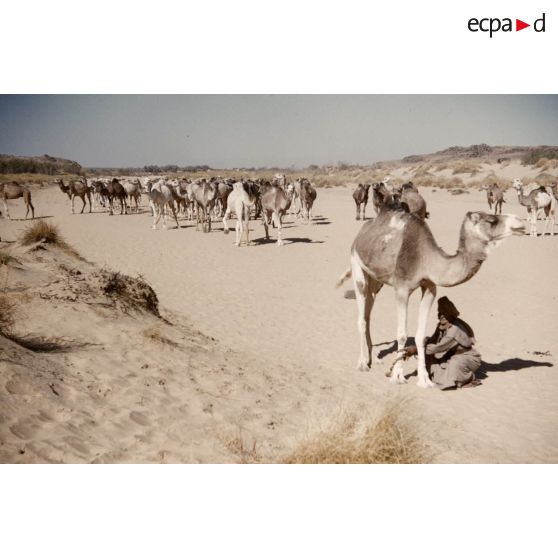 Tin Keouene. [légende d'origine]