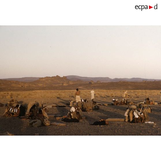 Dider. [légende d'origine]