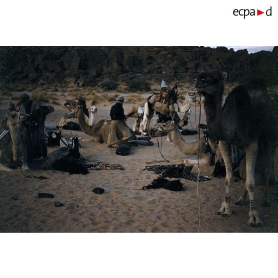 Région Iddô. [légende d'origine]