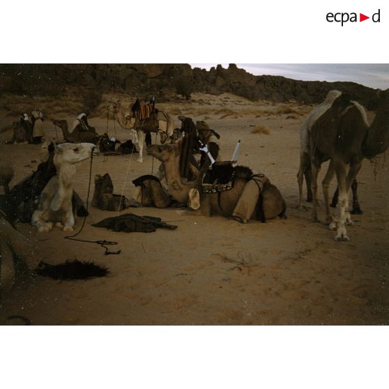 Région Iddo. [légende d'origine]