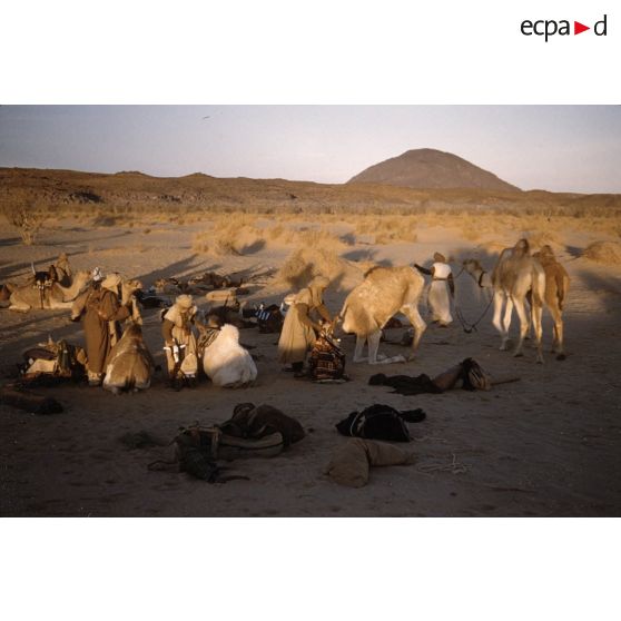 Titersine. [légende d'origine]