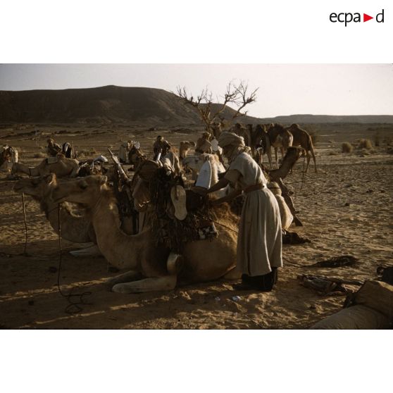 Oued Oubarakat. [légende d'origine]