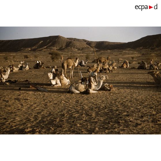 Tihemboka. [légende d'origine]