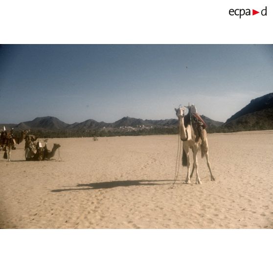 Sortie de Djanet. [légende d'origine]