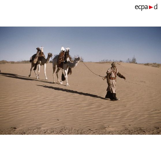 Titersine. [légende d'origine]