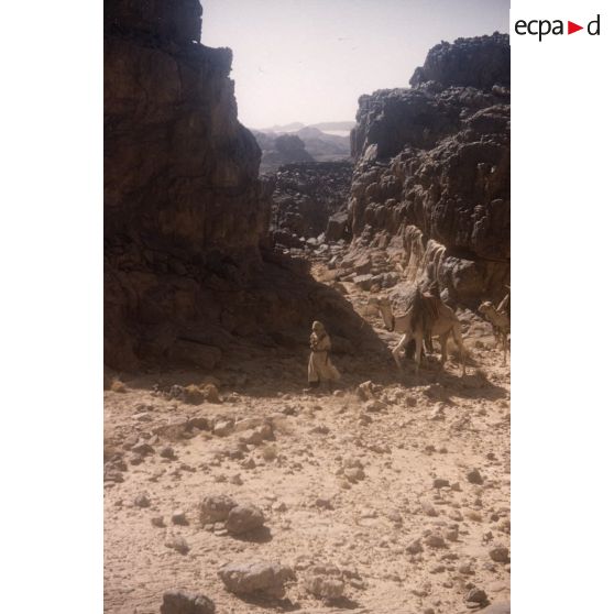 [Algérie, 1958-1961. Méhariste et dromadaires marchant entre des rochers de grès érodé.]