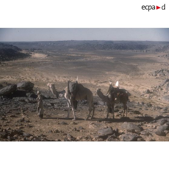 Oued Aboutegui (haut). [légende d'origine]