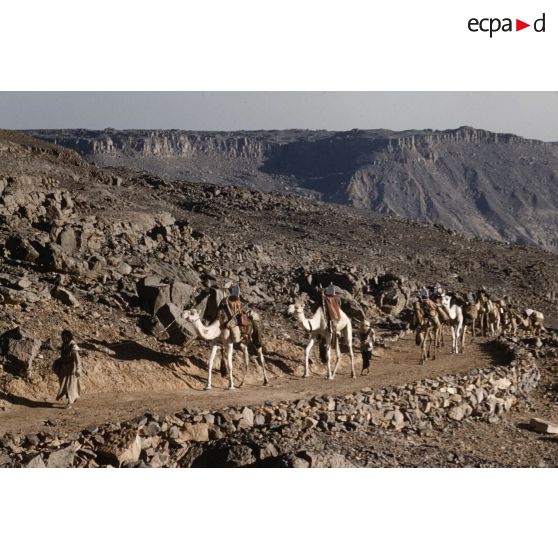 Iherir. [légende d'origine]