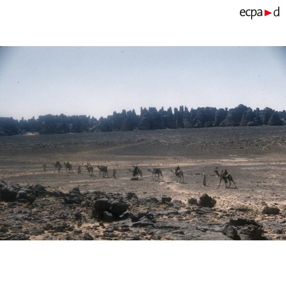 Tibsase. [légende d'origine]