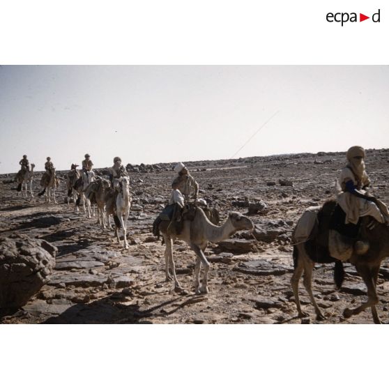 Tarhou, opération et .... [légende d'origine]