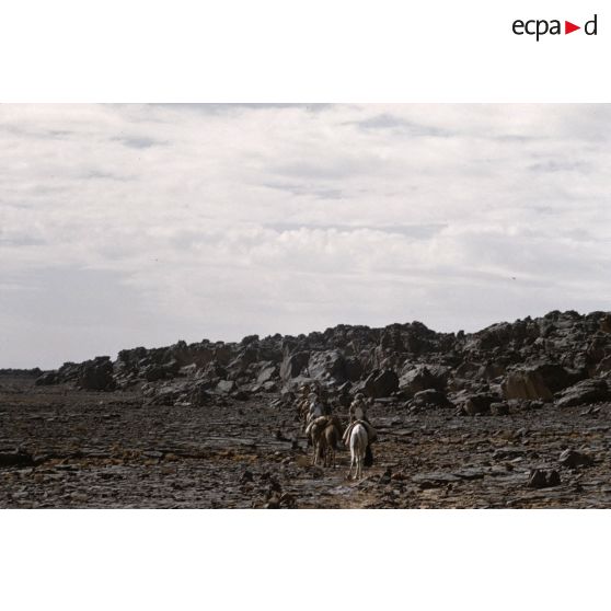 Région Iherir. [légende d'origine]