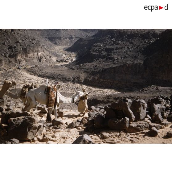 Akba Imeradene. Oued Tarhou. [légende d'origine]