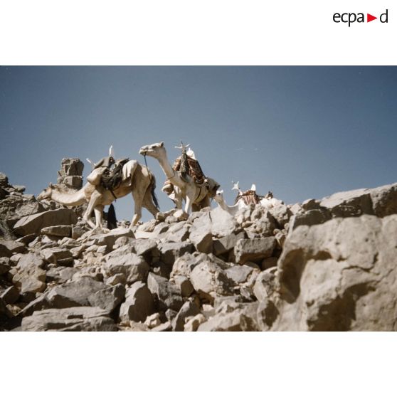 Akba Imeradene. [légende d'origine]