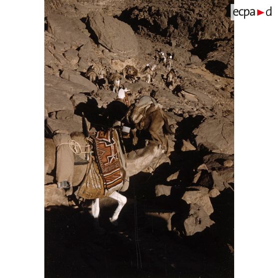 Akba Imeradene. [légende d'origine]