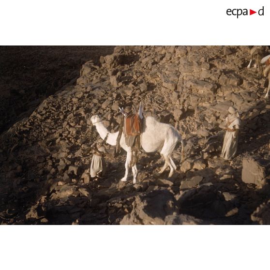 Fadnoun - Akba. [légende d'origine]