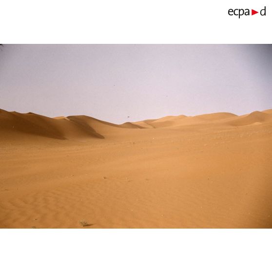 Erg  Bouraret. [légende d'origine]