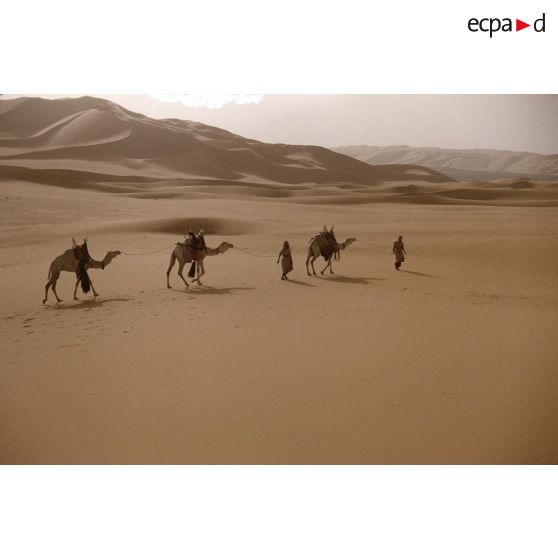 Erg  Bourarhet. [légende d'origine]