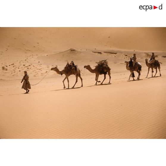 Erg  Bourarhet. [légende d'origine]