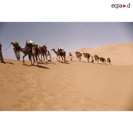 Erg Bourarhet. [légende d'origine]