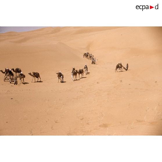 Erg Bourarhet. [légende d'origine]