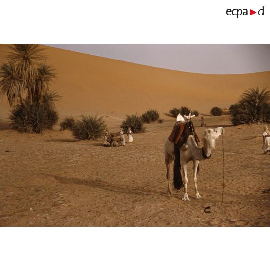 Hi Bouraret. [légende d'origine]