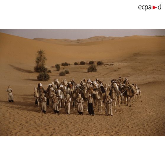 [Algérie, 1958-1961. Rassemblement d'un peloton de méharistes dans un désert.]