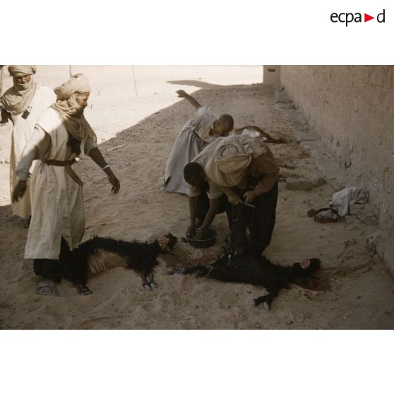 Tarat. [légende d'origine]