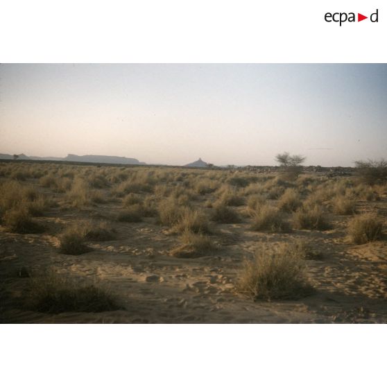 [Un désert algérien, 1958-1961.]