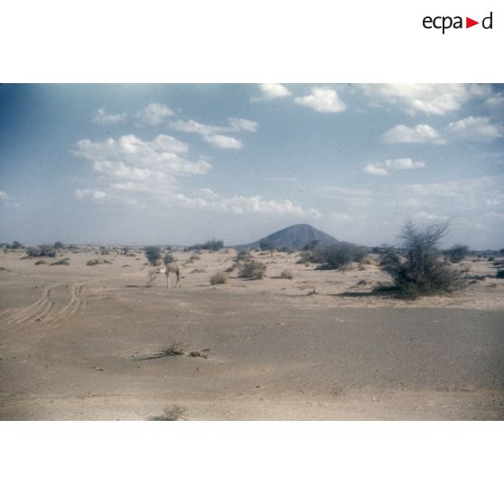 Titersine. Telout. [légende d'origine]