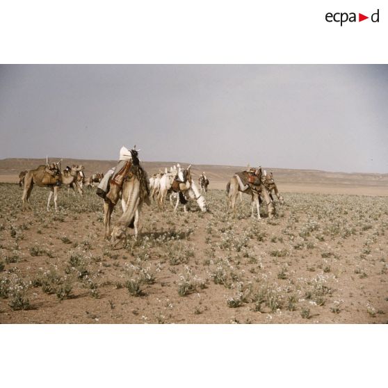 Tihemboka. [légende d'origine]