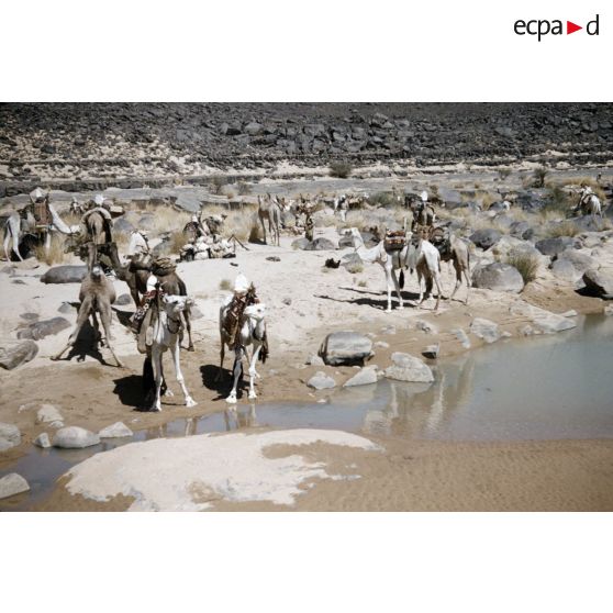 Tarhou. [légende d'origine]