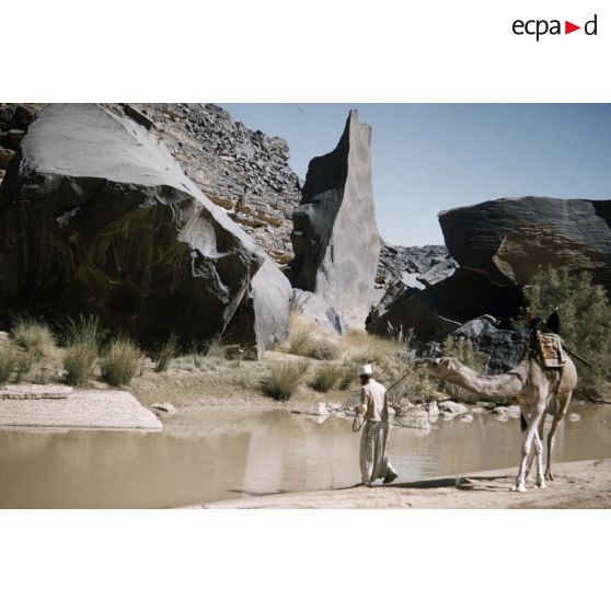 Tarhou. [légende d'origine]