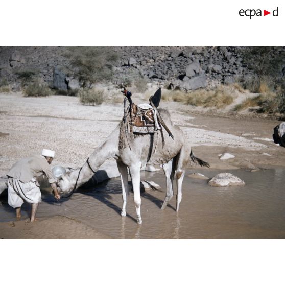 Tarhou. [légende d'origine]