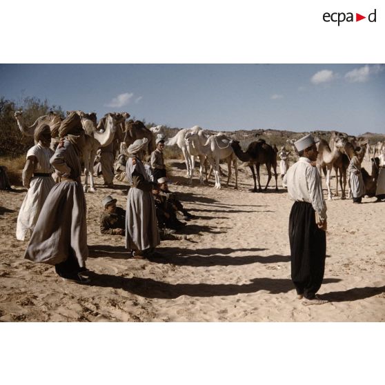 T[in] K[eouene]. [légende d'origine]