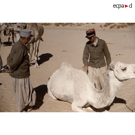 T[in] K[eouene]. [légende d'origine]