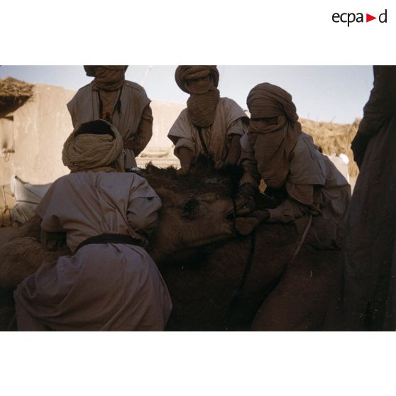 Tarat. [légende d'origine]