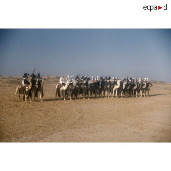 [Algérie. Peloton de méharistes participant à la cérémonie du 14 juillet 1959 à Fort Polignac.]