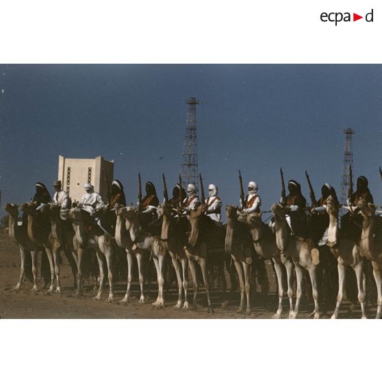 [Algérie. Peloton de méharistes participant à la cérémonie du 14 juillet 1959 à Fort Polignac.]