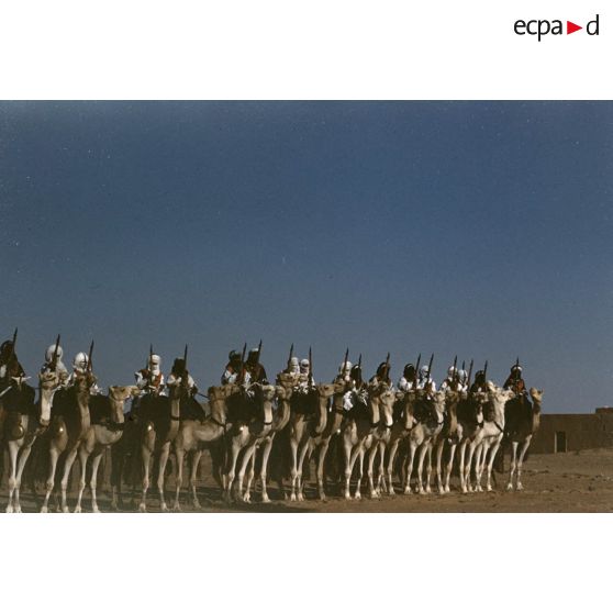 [Algérie. Peloton de méharistes participant à la cérémonie du 14 juillet 1959 à Fort Polignac.]