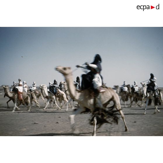 [Algérie. Peloton de méharistes participant à la cérémonie du 14 juillet 1959 à Fort Polignac.]