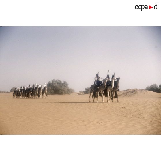 [Algérie, 1958-1961. Peloton de méharistes dans un désert.]