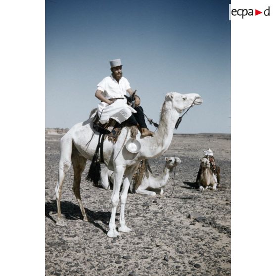 Defendini. [légende d'origine]