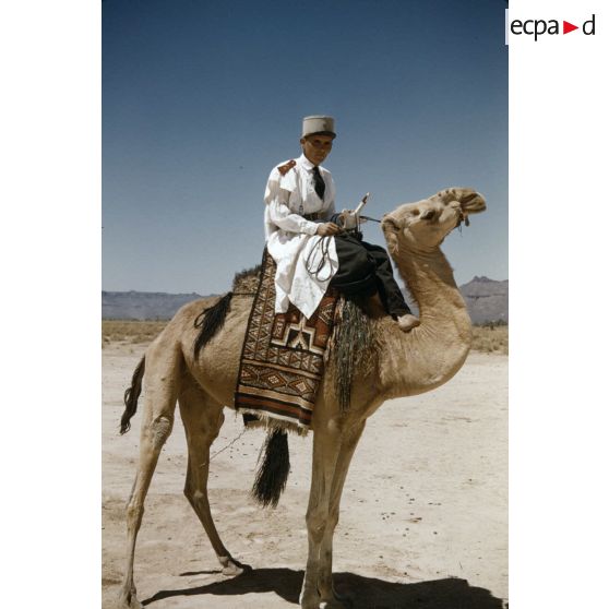 Gallizia. [légende d'origine]