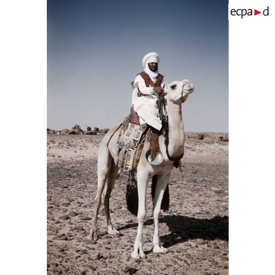 Abdesselem. [légende d'origine]