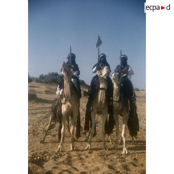 [Algérie, 1958-1961. Portrait de groupe de trois méharistes dont un porte le fanion de son unité.]